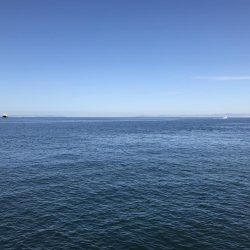 シーズン終了間近！お急ぎ下さい