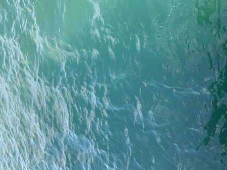 朝まずめアジング