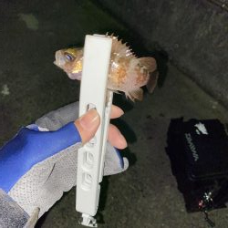 タングステン！