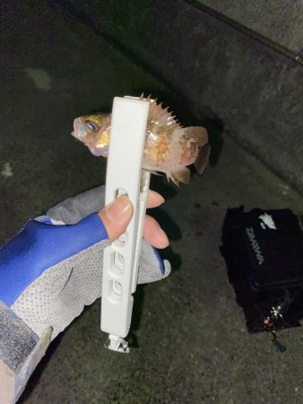 タングステン！