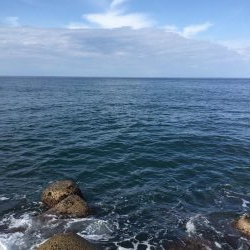 ヒラメ好調の噂を聞き…