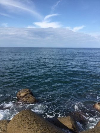 ヒラメ好調の噂を聞き…