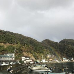 まだ釣れる！悪天候でも爆釣カワハギ！