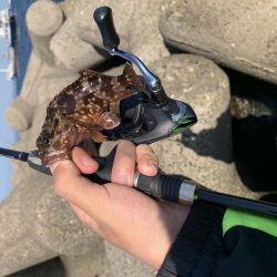 相変わらずの…