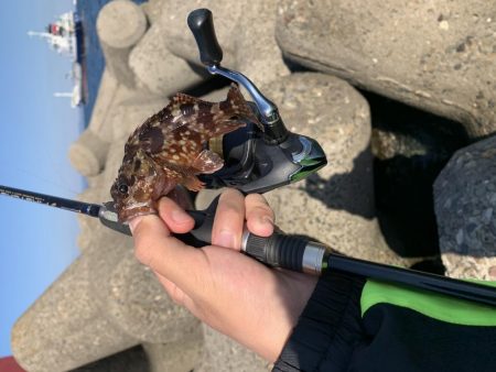 相変わらずの…