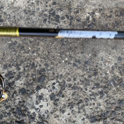 シーバスのバイト連発