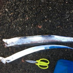 あたりはあるが•••