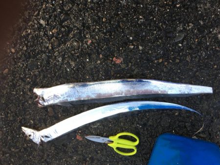 あたりはあるが•••