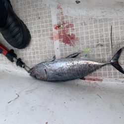 今年最後かもしれないマイボート釣行