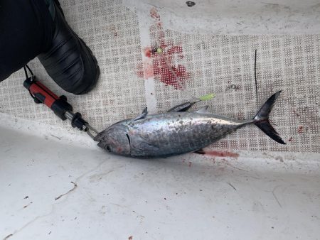 今年最後かもしれないマイボート釣行