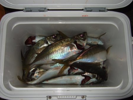 大荒れのアジング