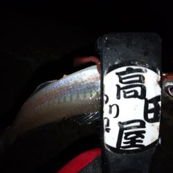 少しだけちょい投げ