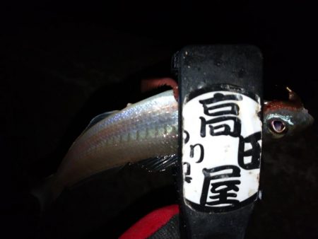 少しだけちょい投げ