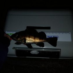 気温がまだ高いので