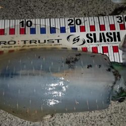 初キロアップならず