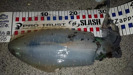 初キロアップならず