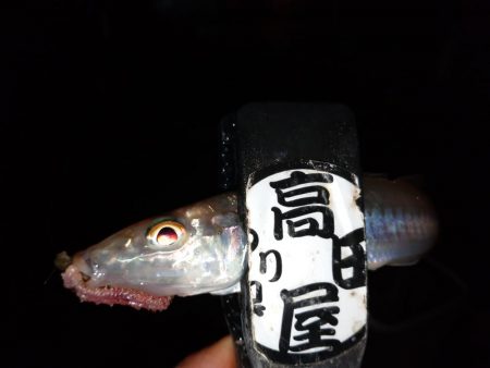 今夜もちょい投げ