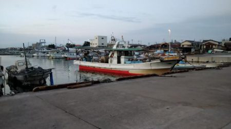 冬の根魚調査３