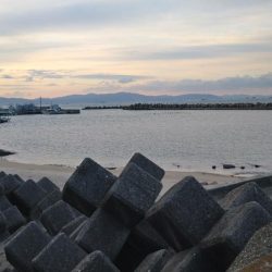 冬の根魚調査５