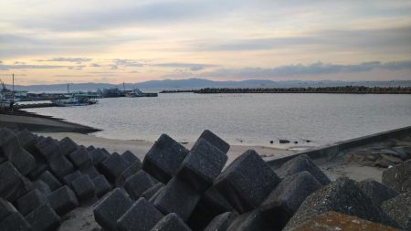 冬の根魚調査５