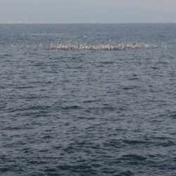 スーパーボイル発生‼