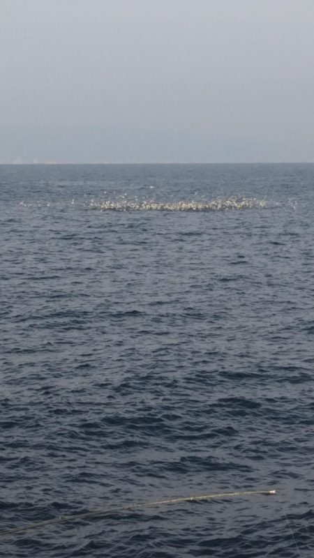 スーパーボイル発生‼