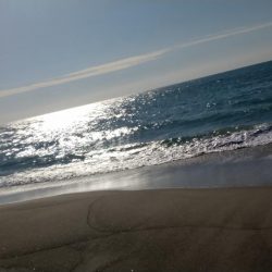 ジグサビキでヒラメ