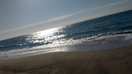 ジグサビキでヒラメ