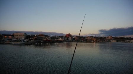 東二見・江井島のキス調査