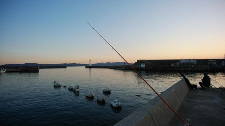 東二見白灯台波止でキス調査