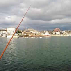 東二見・江井ヶ島釣行