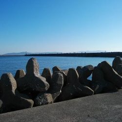 東二見で良型キス爆釣