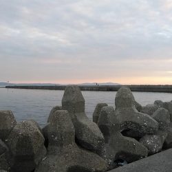 15時から東二見へキス調査