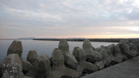 15時から東二見へキス調査