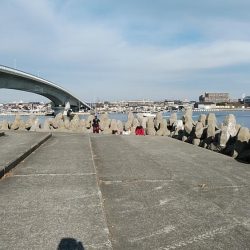 ９時から東二見のキス調査