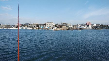 江井ヶ島のキス調査