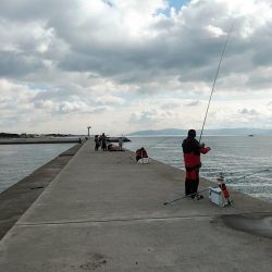 東二見へキス調査