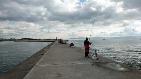 東二見へキス調査