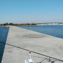 東二見白灯台波止のキス調査