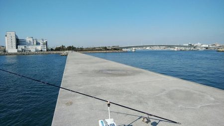 東二見白灯台波止のキス調査