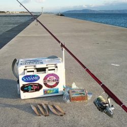 強風の東二見白灯台釣行