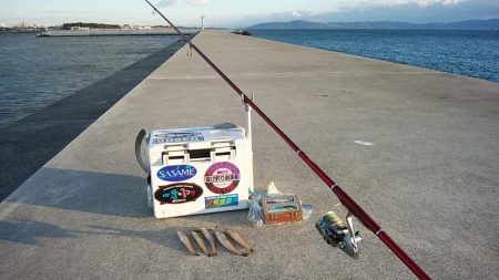 強風の東二見白灯台釣行