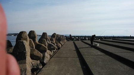 今朝も昼まで東二見のキス調査