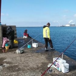 久々の播磨新島撃沈し東二見へ