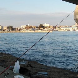 東二見で良型キスが釣れました