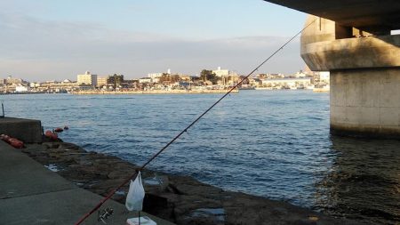 東二見で良型キスが釣れました