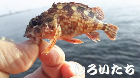 ２０２０最後の釣り。