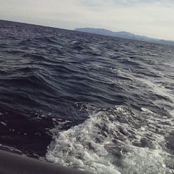 ジギング五目釣り