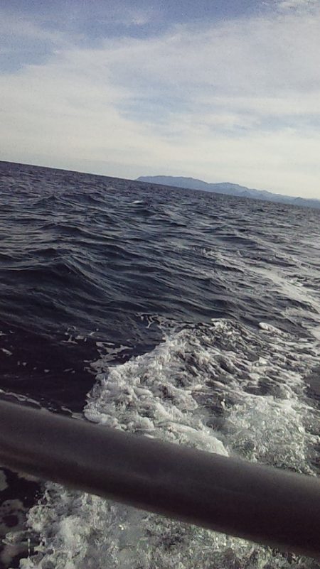 ジギング五目釣り