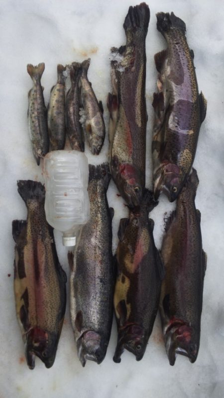 管理渓流釣り場